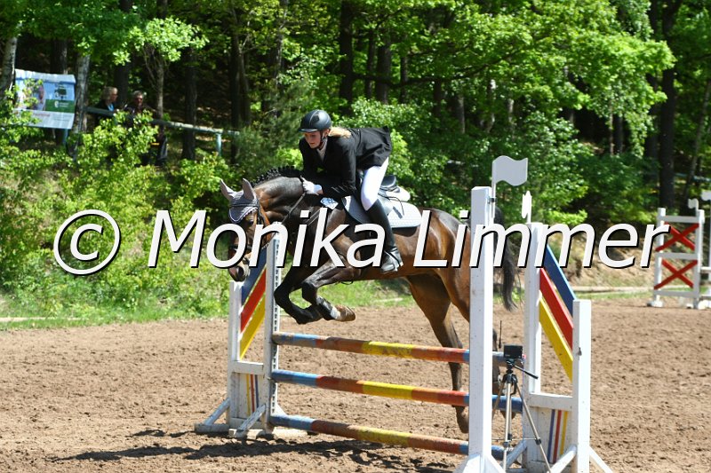 104M8339_SpringWB E.JPG